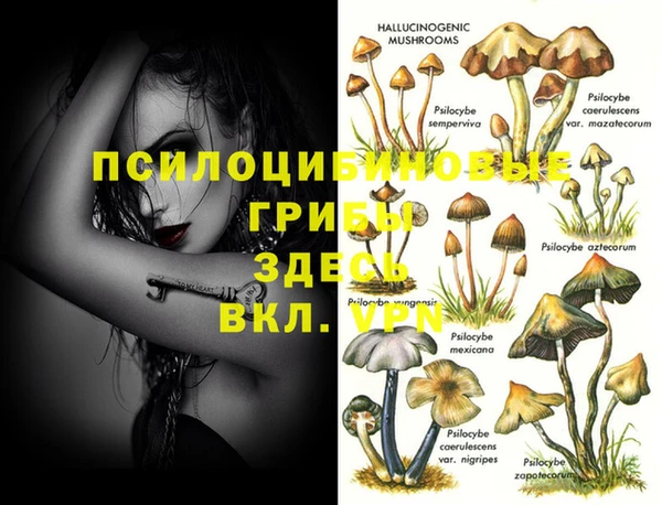 гидра Медногорск