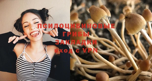 гидра Медногорск