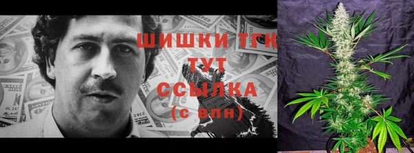 гидра Медногорск