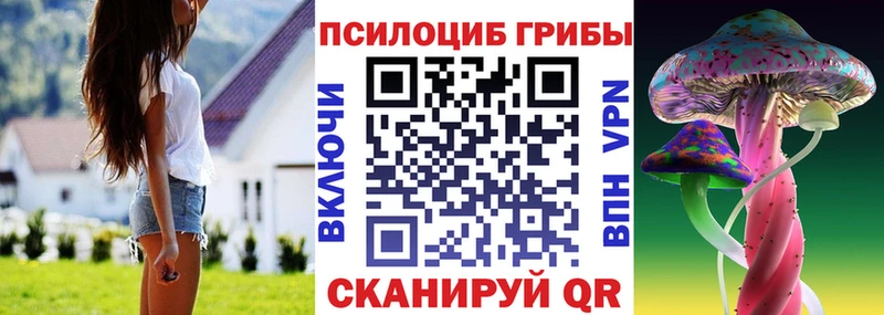 Псилоцибиновые грибы Psilocybine cubensis  МЕГА ссылки  Лакинск 