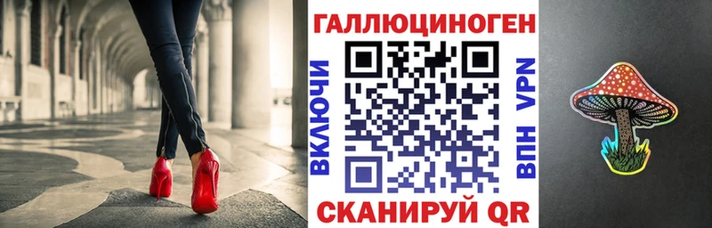 Псилоцибиновые грибы Psilocybe Лакинск