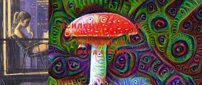 Галлюциногенные грибы Magic Shrooms  даркнет телеграм  Лакинск  наркотики 