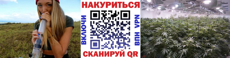 Канабис планчик  Лакинск 